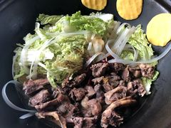 铁锅炖大鹅-粘豆包柴火铁锅炖