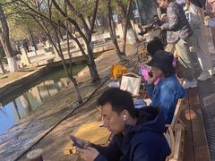 -春风习习