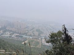 -惠山国家森林公园