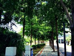 -华侨大学(厦门校区)