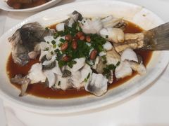 -张记旺角食街(动物园店)