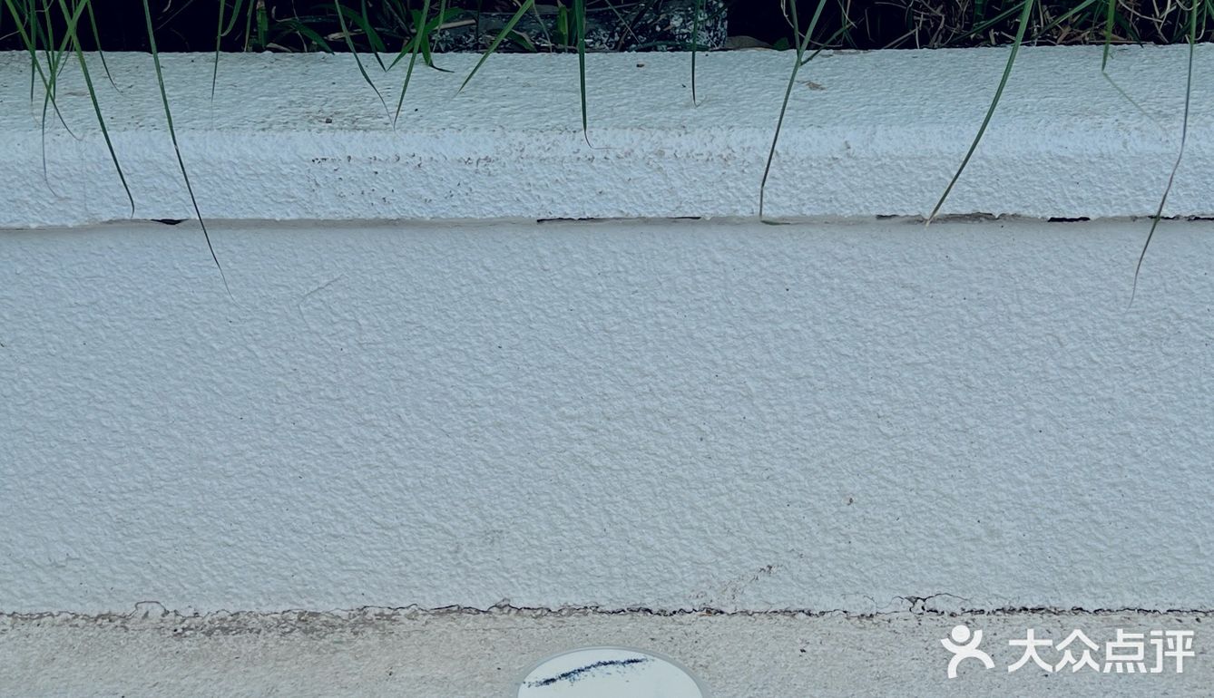 郑州｜Hugs这季新品太好喝了！夏日感受海风