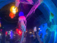 -太平洋海底世界