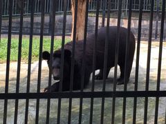 -广东茂名森林公园