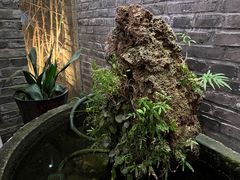 -松茸小馆·云南特色餐厅