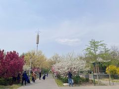 -丰台花园