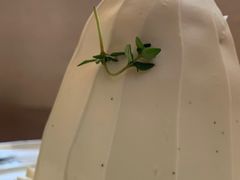 -Ginko银子(青龙街店)