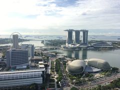 -新加坡瑞士史丹福酒店