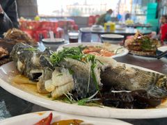 清蒸龙胆-钱山海鲜大排档