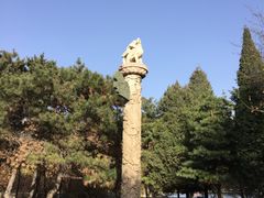 -北陵公园