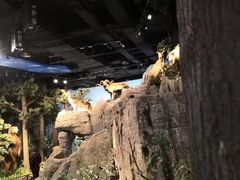 -陕西自然博物馆