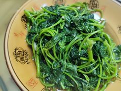 清炒苕尖-周师饭店
