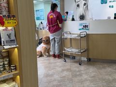 -美联众合动物医院·24h转诊中心