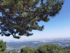 -北京西山国家森林公园