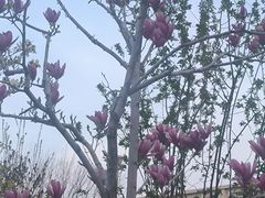 -北京化工大学(东校区)
