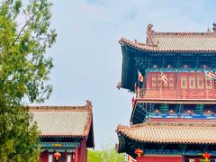 -大槐树寻根祭祖园