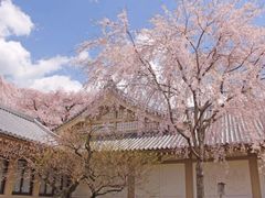 -醍醐寺