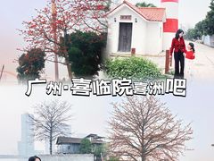 -喜洲吧·江畔老船厂·庭院餐厅(喜临院店)