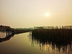 -白洋淀景区