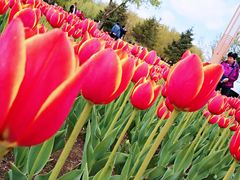 -长春公园(普阳街道)