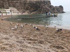 -海驴岛(荣成市)
