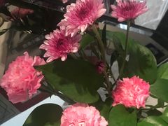 -鹿港小镇(远洋未来广场店)