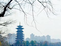 -洋湖国家湿地公园
