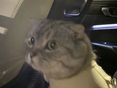 -虾乐园龙虾·夜宵(松江店)