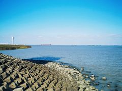 -上海吴淞炮台湾国家湿地公园