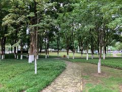 -后襄河公园