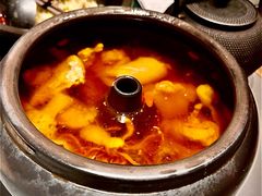 菌皇汽锅鸡-云海肴·汽锅鸡·云南菜(高德置地店)