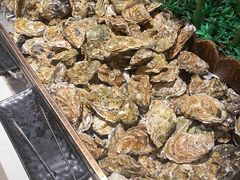 -唐庄·城市温泉(中润大道店)