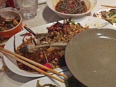 -杨氏青龙虾·羊蝎子(托乐嘉店)