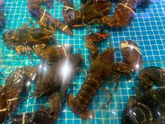 -驻海渔市(置信店)