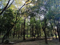 -蜀冈西峰生态公园