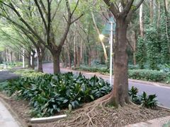 -南国桃园旅游度假区