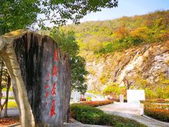 -金钉子远古世界景区