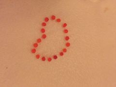 -上海和平饭店-华懋阁 The Cathay Room