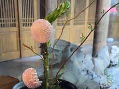 -鲤院·新中式美学·庭院餐厅(夫子庙店)