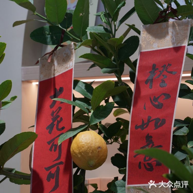 酒香不怕巷子深，藏在独栋里的combo好味美！