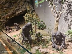 -北京周口店北京人遗址博物馆