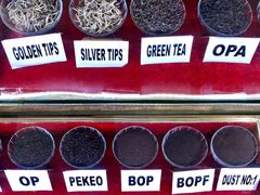 -Ministry of Crab(科伦坡店)