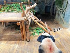 -深圳野生动物园
