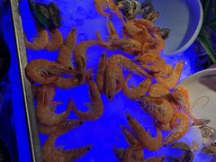 -西安皇冠假日酒店·朱雀咖啡厅