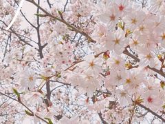 -龙美术馆(西岸馆)