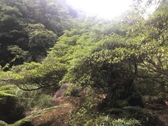 -赤水丹霞旅游区·佛光岩
