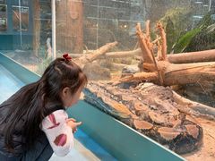-上海大自然野生昆虫馆(东方明珠·爬宠昆虫探索中心)