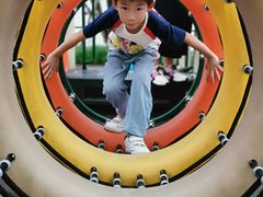 -铁山坪森林公园