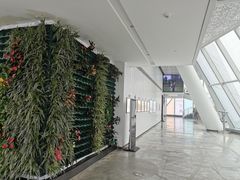 -WFC会仙楼观景台