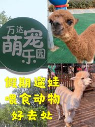 -萌宠亲子动物乐园(槐房万达店)